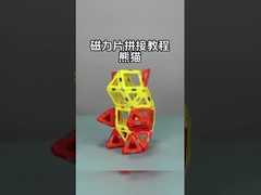 Magnetic Tile Assembly With Versatile Shapes For Animals And Plants  Lesser Panda