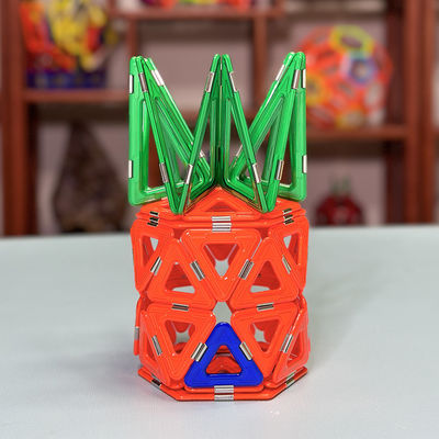 Magnetic Tile Assembly With Versatile Shapes For Animals And Plants  Pineapple House